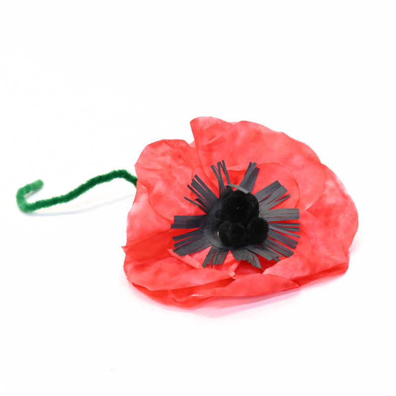 1005- Coffee Filter Poppy Project Photo