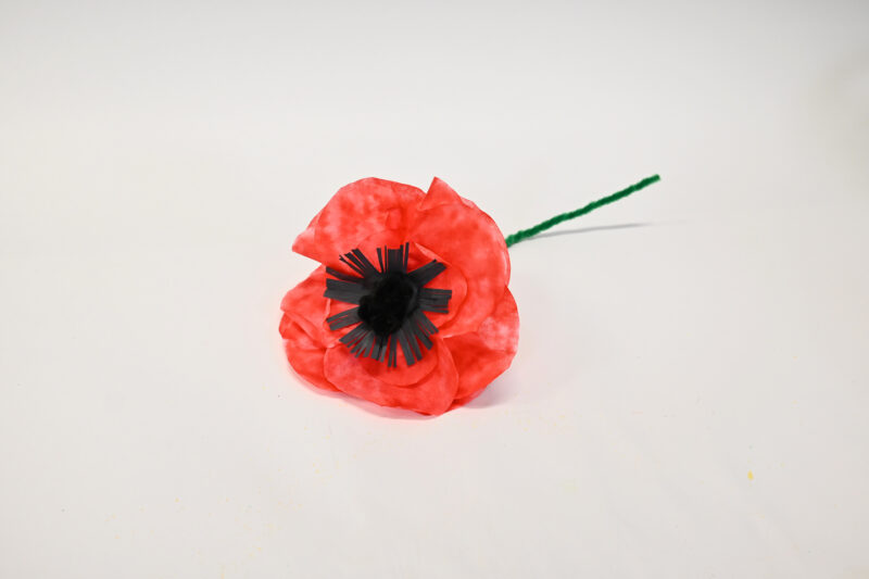 Coffee Filter Poppy